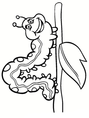 Página para Colorir de Insetos para Imprimir