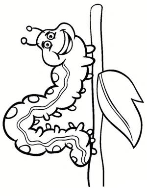 Página para Colorir Página para Colorir de Insetos para Imprimir