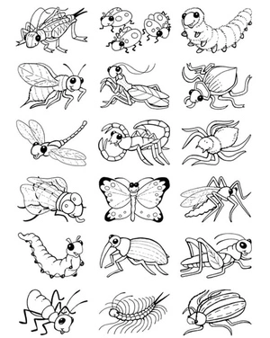 Página para Colorir Página de Colorir Gratuita de Insetos para Estudantes