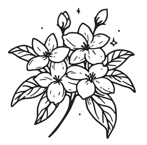 Página para Colorir Flores Básicas de Jasmim