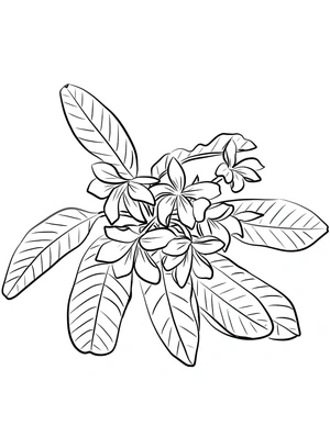 Página para Colorir Linda Flor de Jasmim