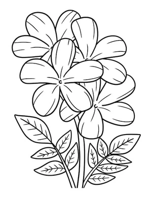 Página para Colorir Flores de Jasmim Exquisitas