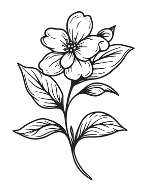 Página para Colorir Beleza Flor de Jasmim