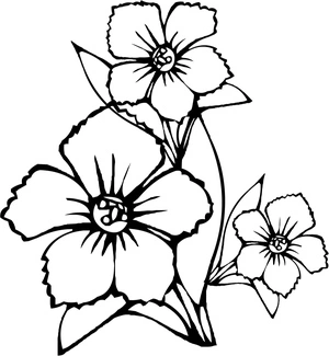 Página para Colorir Página para Colorir Flores de Jasmim