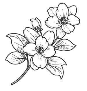 Flores de Jasmim Encantadoras