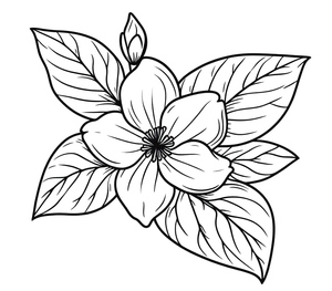 Página para Colorir de Flor de Jasmim