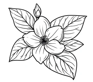 Página para Colorir Página para Colorir de Flor de Jasmim