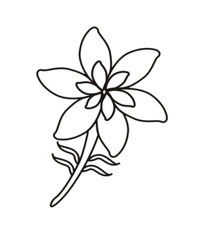 Flor de Jasmim Simples