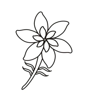 Página para Colorir Flor de Jasmim Simples
