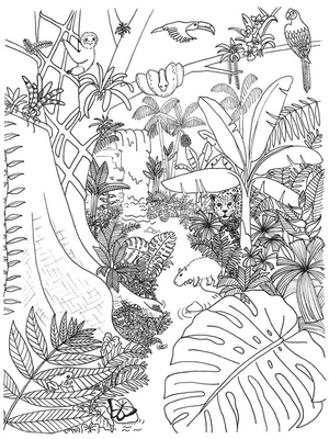 Selva Maravilhosa