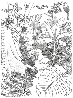 Página para Colorir Selva Maravilhosa