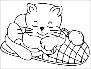 Um Gatinho Dorminhoco e Fofo