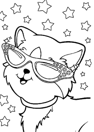 Gato Relaxado