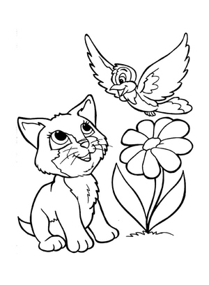 Gatinho e um Pássaro