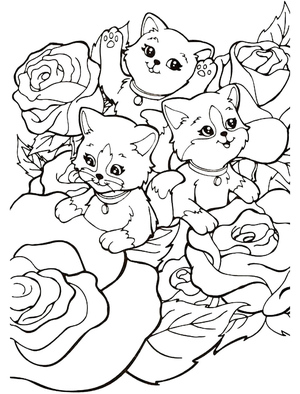 Gatinhos para Adoção