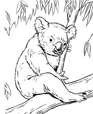 Página para Colorir Número 2 Coala