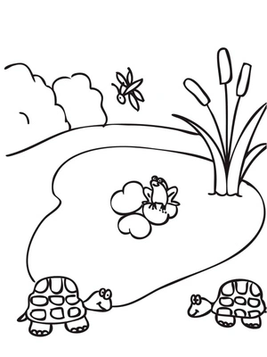 Página para Colorir Um Pequeno Lago