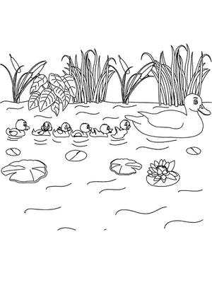 Página para Colorir O Lago Tranquilo