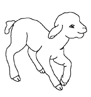 Página para Colorir Página para Colorir de Cordeiro