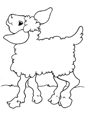 Página para Colorir Ovelha Boba