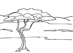 Deserto da Savana