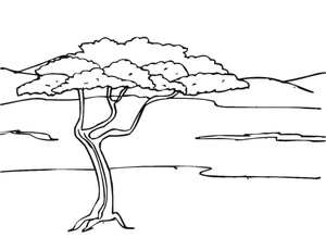 Página para Colorir Deserto da Savana