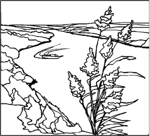 Página para Colorir Paisagem Cênica de Rio