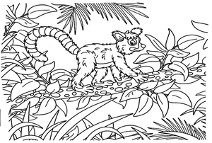 Página para Colorir Lêmure da Floresta