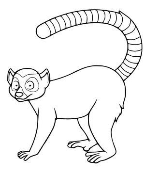 Desenho para Colorir de Lêmure Grátis para Imprimir