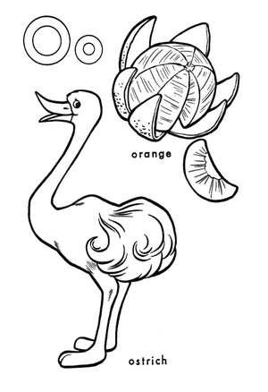 Avestruz e laranja, fácil página para colorir Letra O, grátis para imprimir