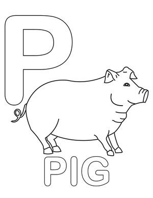 P de Porco