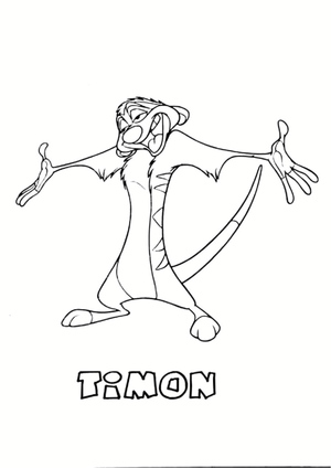 Timon Engraçado