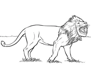 Página para Colorir Leão Furioso