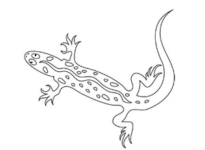 Página para Colorir Imagem HD de Lagartos