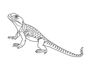 Página para Colorir Esboço de Lagartos Animados