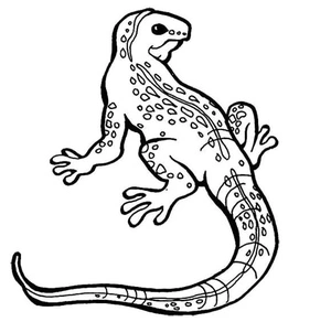 Página para Colorir Lagartos Animados