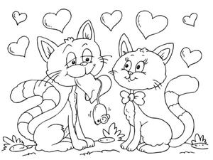 Gatos Agapornis
