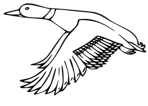Página para Colorir Um Pato Voador