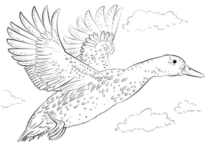 Página para Colorir Pato Voando no Céu