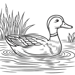 Página para Colorir Página para Colorir de Pato Marreco