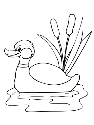 Página para Colorir Pato Marreco Nadando