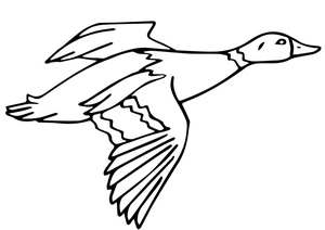 Página para Colorir Página para Colorir de Pato Marreco para Imprimir