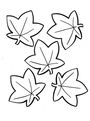 Página para Colorir Página para Colorir Folhas de Bordo