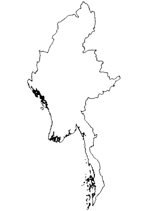 Página para Colorir Página para Colorir do Mapa de Mianmar