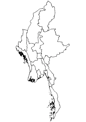 Página para Colorir Mapa de Mianmar