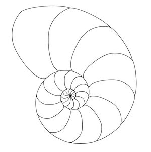 Um Nautilus Concha