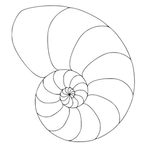 Página para Colorir Um Nautilus Concha