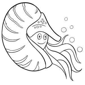 Nautilus Desenho Animado