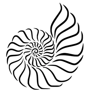 Página para Colorir Concha Simples de Náutilo