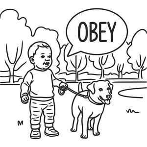 Seguir Instruções